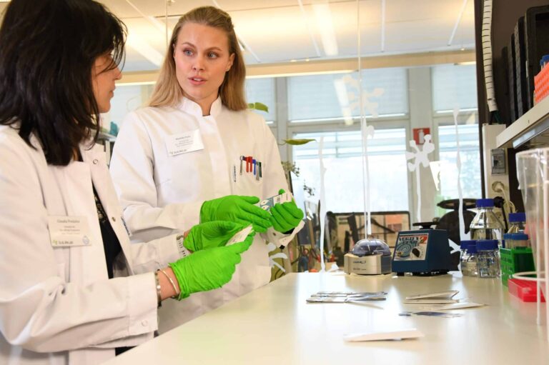 Scientists in the lab